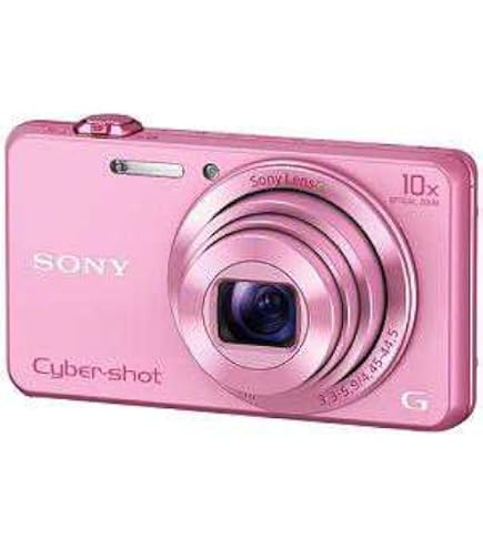 SONY Cyber-Shot DSC-WX300 デジタルスチルカメラ SONY Cyber-Shot DSC-WX300 デジタルスチルカメラ